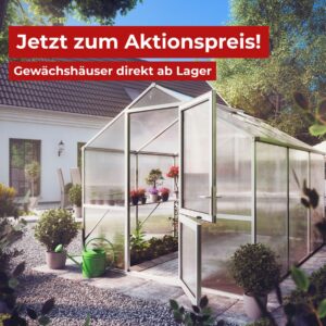 KGT Gewächshaus Rose III Aktion