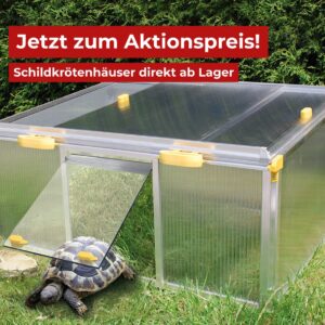 Schildkrötenhaus Paula Aktion